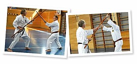 Banner Kobudo für Neueinsteiger ab 14 Jahre
