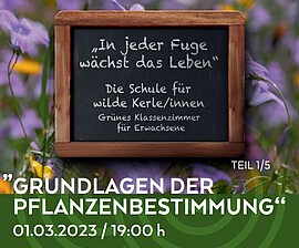 Banner Grünes Klassenzimmer "Grundlagen der Pflanzenbestimmung"