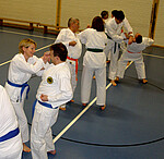 Logo 3-Karate Neueinsteigerkurs für Erwachsene ab 18 Jahre