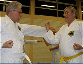 Banner Gesundheitssport mit Elementen aus dem Karate für Neueinsteiger von etwa 40 - 80 Jahre
